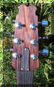 Kudzu Lute headstock detail