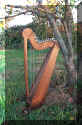 Paraguayan Harp