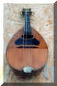 Mandolin after repair--front