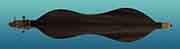 Possum dulcimer back